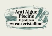 Anti algue piscine le guide pour une eau cristalline